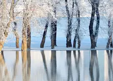 Russias wonderland