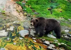 Kamchatka Adventure