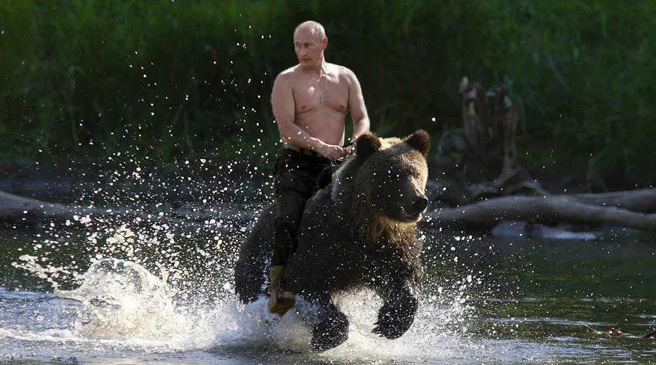 bear-ride.jpg