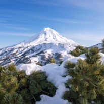 Kamchatka winter tour Russia