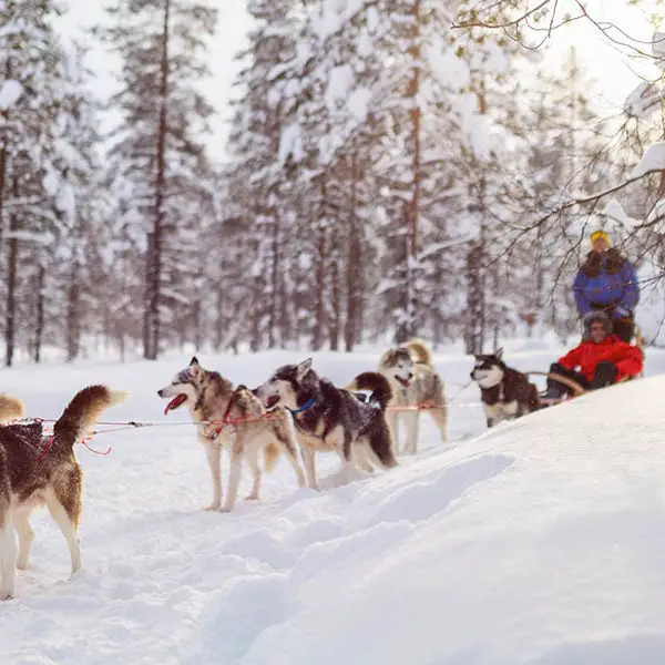 Kamchatka Winter tour, Russian winter holiday