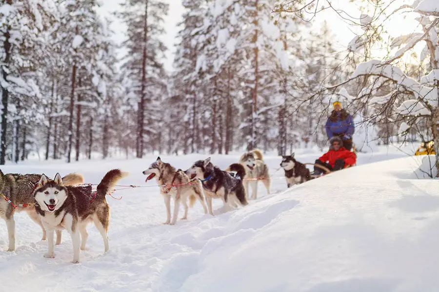 Kamchatka Winter tour, Russian winter holiday