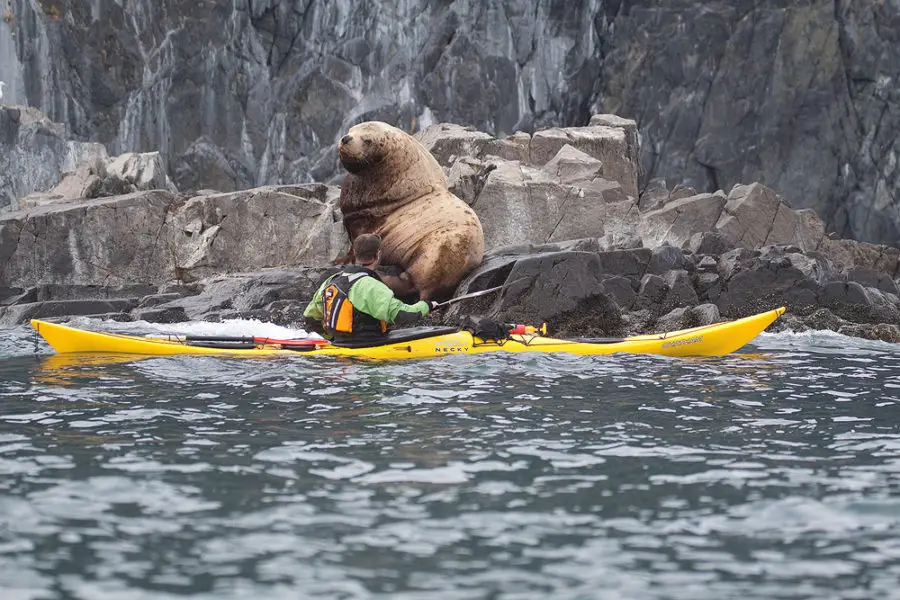 Kamchatka kayaking tour, Kamchatka sea kayaking