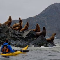 Kamchatka kayaking tour, Kamchatka sea kayaking