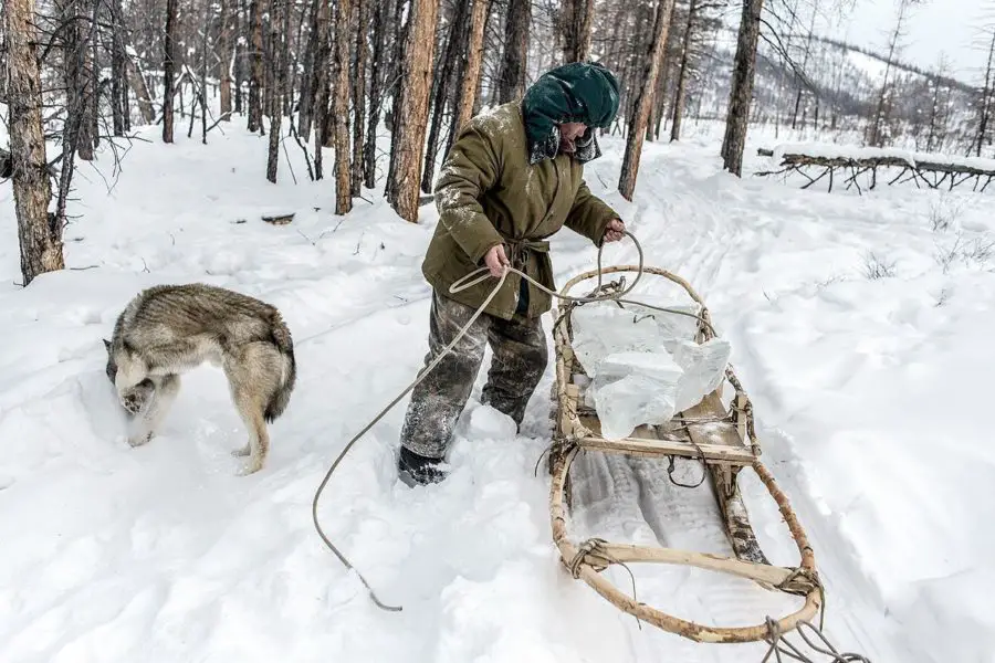 Oymyakon culture