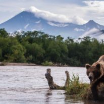 Kamchatka tour bears and volcanoes