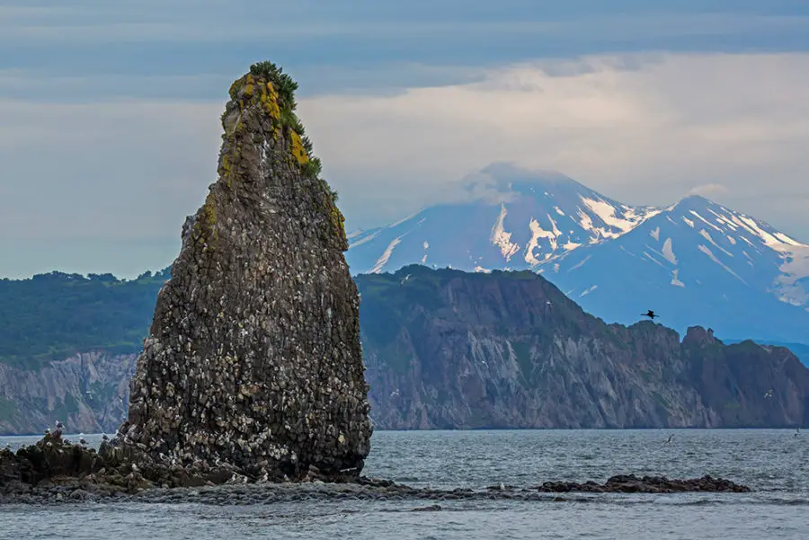 Kamchatka discovery