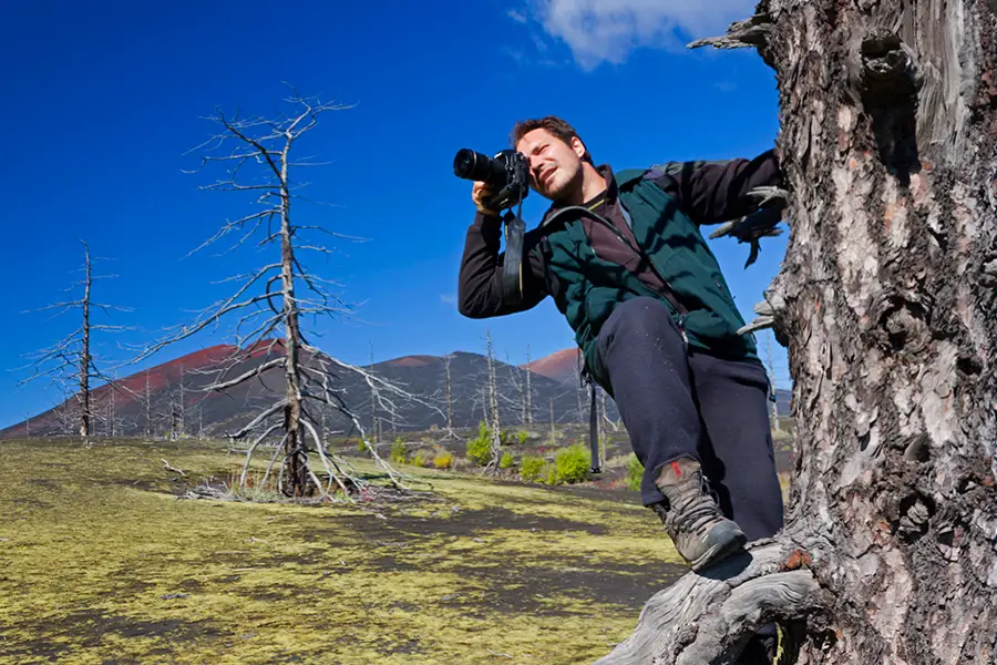 Dead forest Kamchatka photo toue Budkov