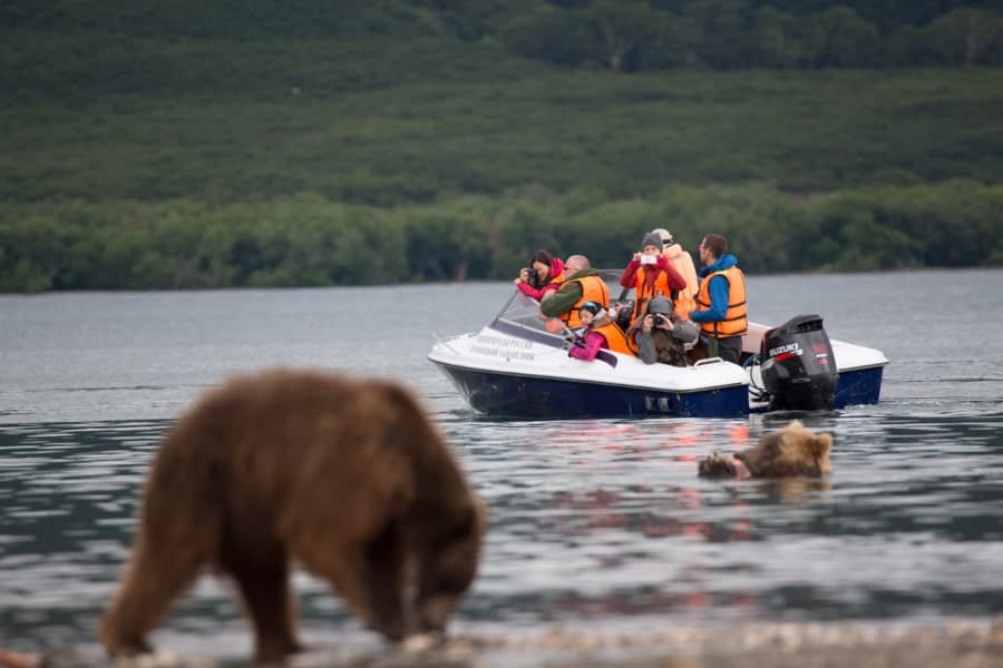 Kamchatka Kuril Lake bears watching tour Russia