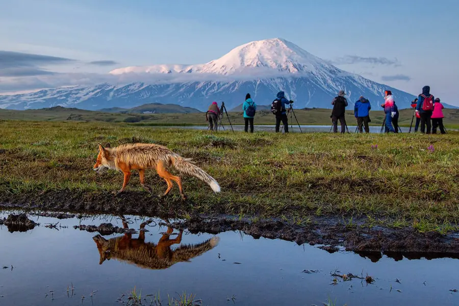 Kamchatka photo tour bears volcanoes Russia Siberia