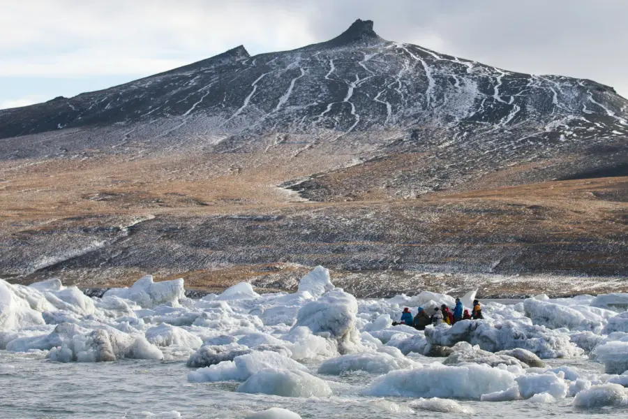 Wrangel Island Cruise - Discover Russia's Arctic Explorer's Paradise