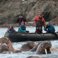 Wrangel Island Cruise Russian Arctic Polar Cruises