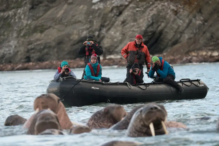 Wrangel Island Cruise Russian Arctic Polar Cruises