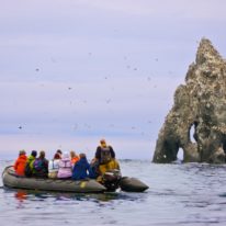 Wrangel Island Cruise Russian Arctic Polar Cruises