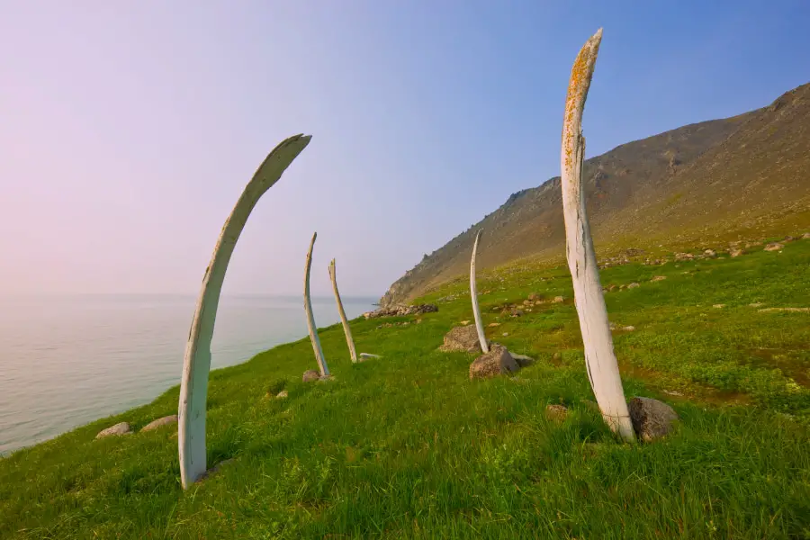 Wrangel Island Cruise Russian Arctic Polar Cruises