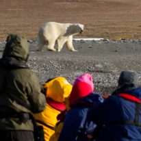 Wrangel Island Cruise Russian Arctic Polar Cruises