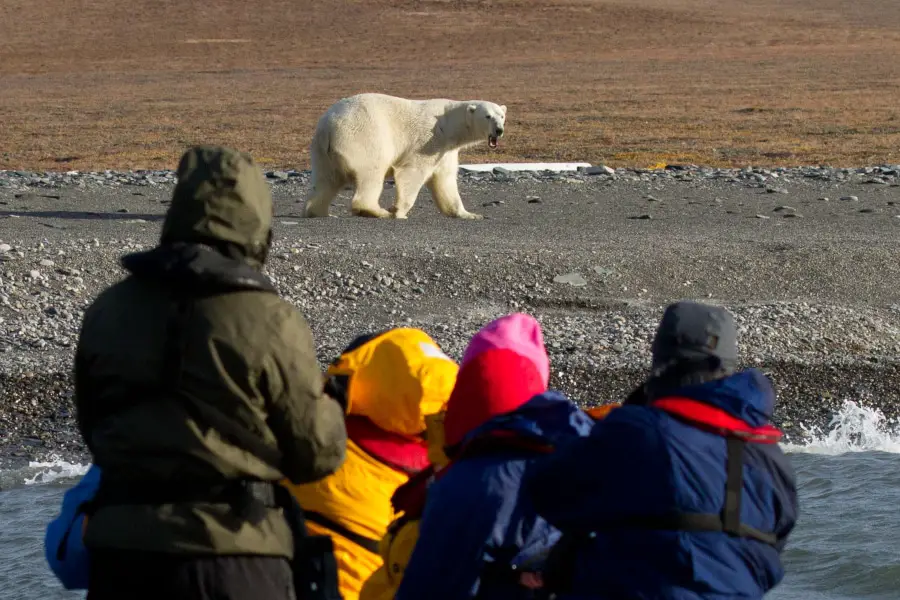 Wrangel Island Cruise Russian Arctic Polar Cruises