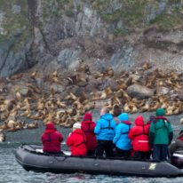 Wrangel Island Cruise Russian Arctic Polar Cruises