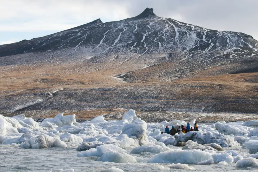 cruise to wrangel island