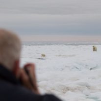 Wrangel Island Cruise Russian Arctic Polar Cruises