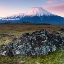 Kamchatka bears tour