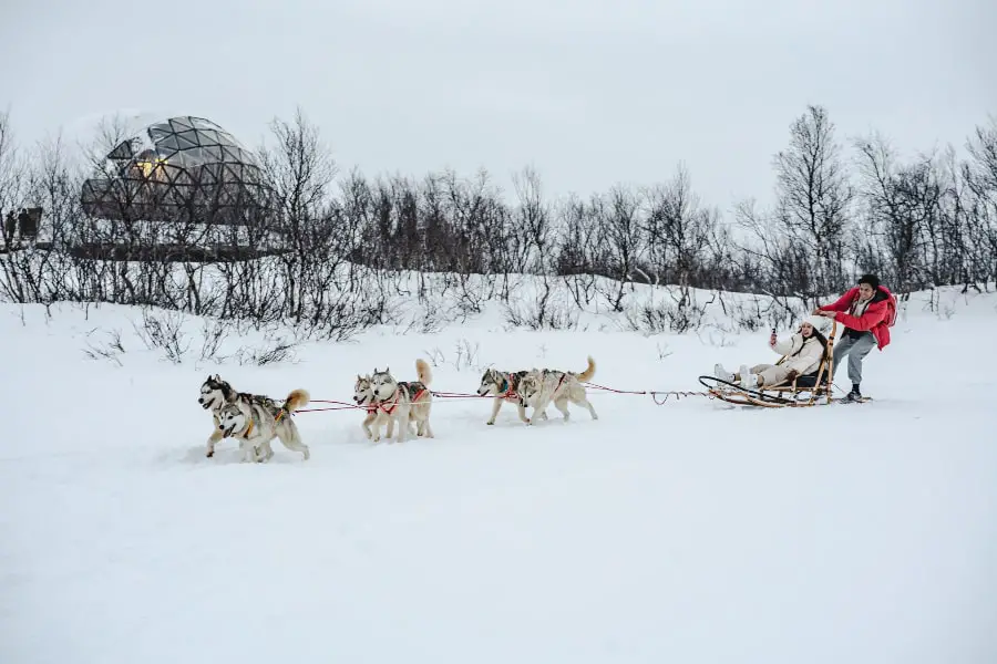 northern lights tour murmansk