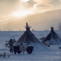 Yamal Reindeer migration Nenets tour Russia Siberia