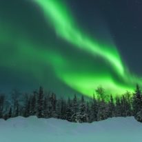 Yamal Reindeer migration Nenets tour Russia Siberia