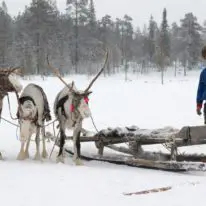 Northern Lights Murmansk tour Russia Kola Peninsula Saami people