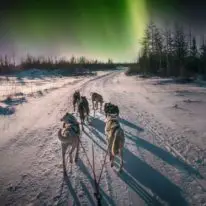 Northern Lights Murmansk tour Russia Kola Peninsula dog sledding
