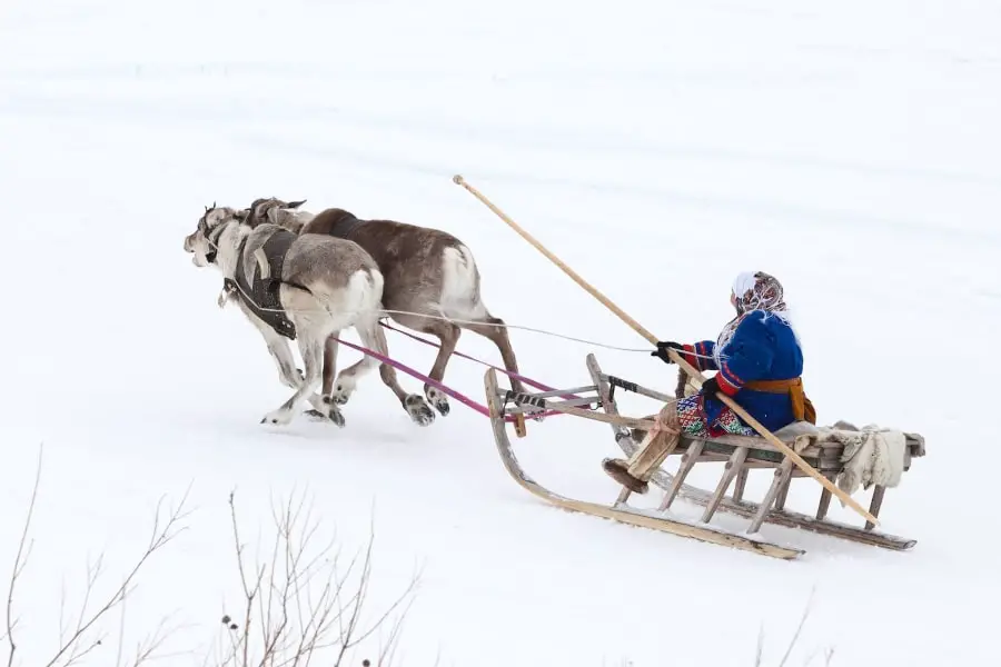 Yamal Nenets Reindeer Herders Siberia tour