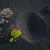 Kamchatka trekking tour Russia bears and volcanoes