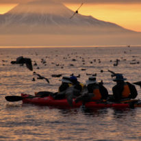 Kamchatka Commander Kuril Islands expedition cruise