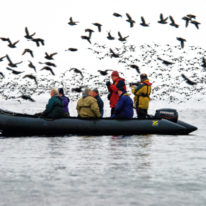 Kamchatka Commander Kuril Islands expedition cruise