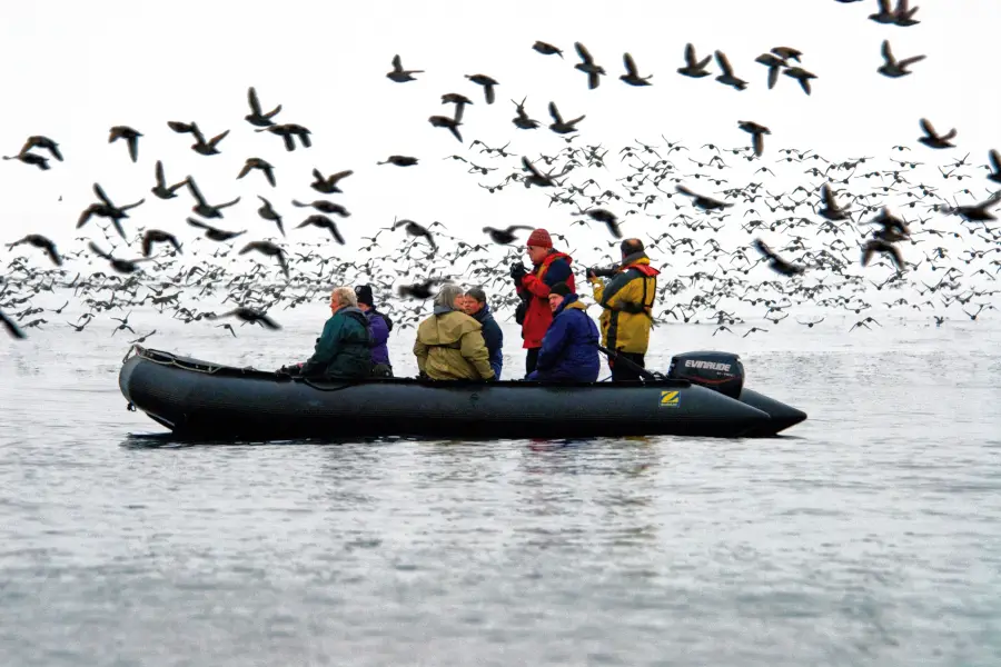 Kamchatka Commander Kuril Islands expedition cruise