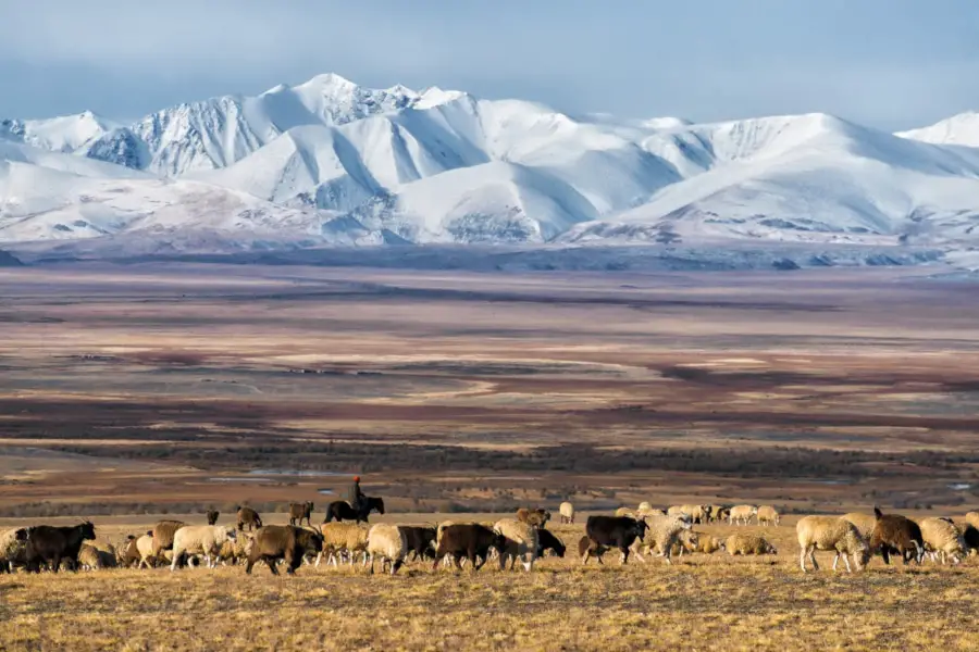 Altai travel Russia tours Ukok Plateau