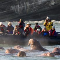 Kamchatka Cruise