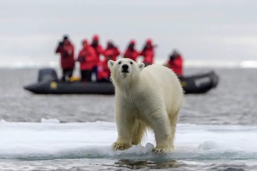 Franz Josef Land