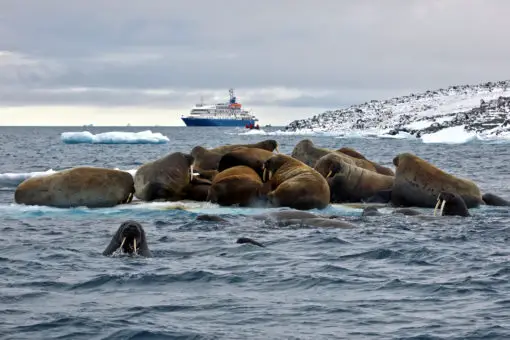 Franz Josef Land Cruise Sea Spirit Russian Arctic & Svalbard