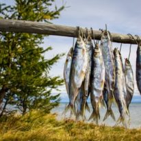 Lake Baikal Cruise