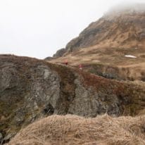 Russia Far East Cruise Kuril Commander Kamchatka