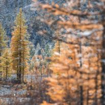 Altai Photo Tour Russia Siberia Altay Landscapes