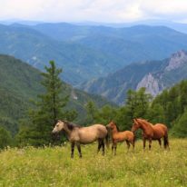 Altai Adventure tour Russia Siberia Belukha Mountains