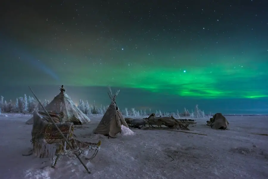 Yamal Nenets reindeer migration Siberia