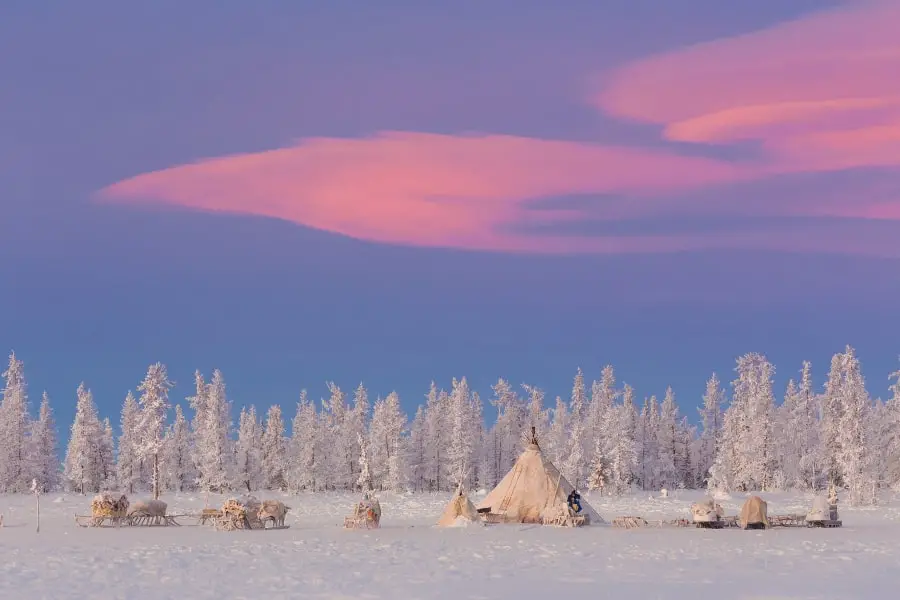 Yamal Nenets reindeer migration Siberia,Yamal Peninsula travel guide