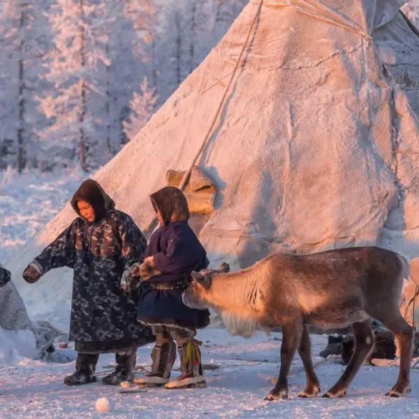 Yamal tour Nenets Siberian migration tribes Russia,Yamal Peninsula travel guide