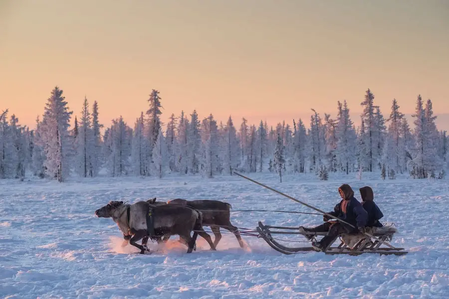 Yamal Nenets reindeer migration Siberia, Yamal Peninsula travel guide